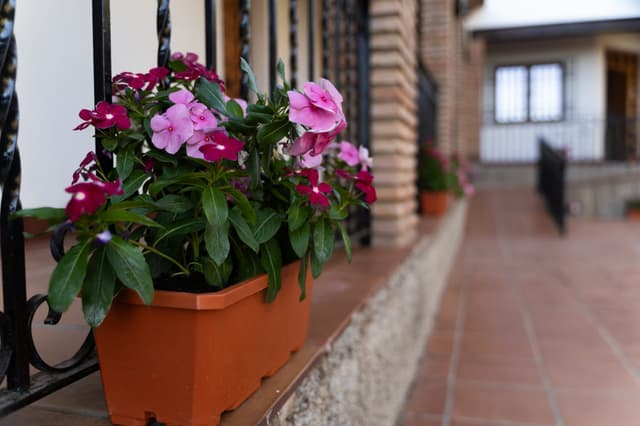 Albergue Fuente Agria